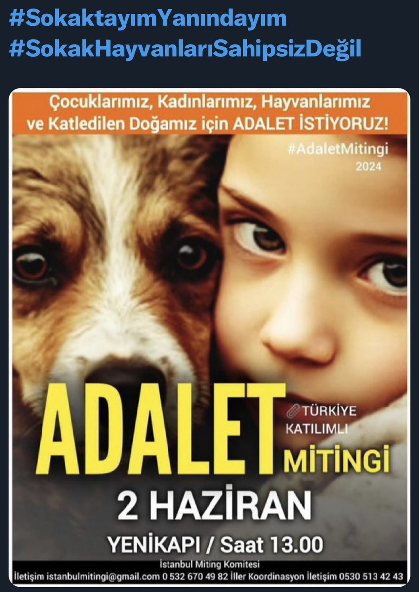 #SOKAKHAYVANLARISAHİPSİZDEĞİL