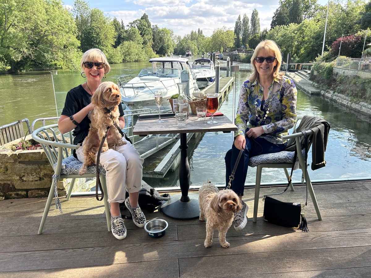 KayeHolland's tweet photo. Bank Holi-YAY

#bankholiday #blueskies #longweekend #cavapoos https://t.co/9pU23I3IkP