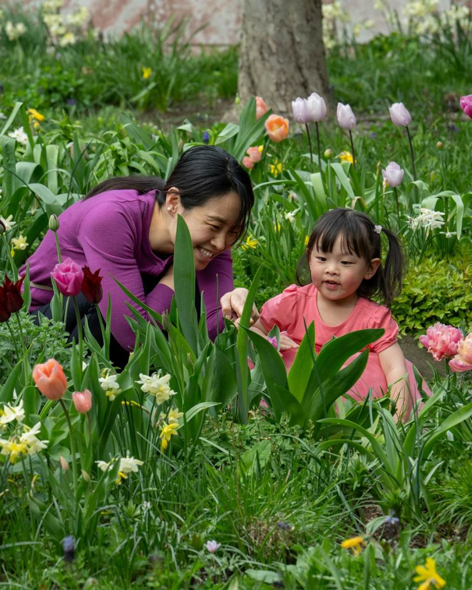 Explore the scent-sational smells of medieval herbs and plants at The Met Cloisters garden festival! 👃🌸 Join us June 8 for an all-day celebration of the flora and fauna at The Met Cloisters. Enjoy tours, performances, art making, and more. Learn more: met.org/4dWXKUk