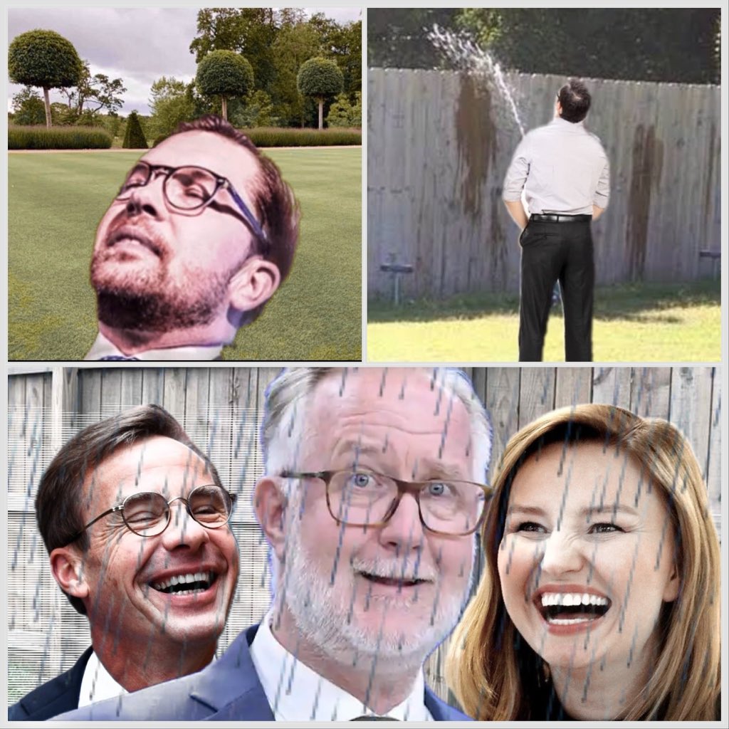 legionmint's tweet photo. Åkesson pissar på regeringen som desperat försöker låtsas för sina väljare att det nog bara regnar.
#svpol #SDgate #extravalnu https://t.co/2G9kVQiFay