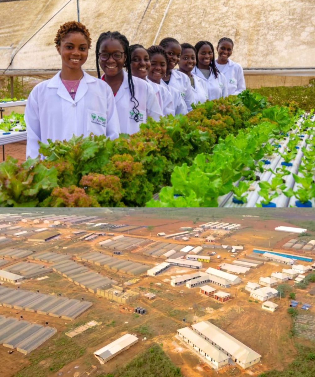 Albert Kure tweet media