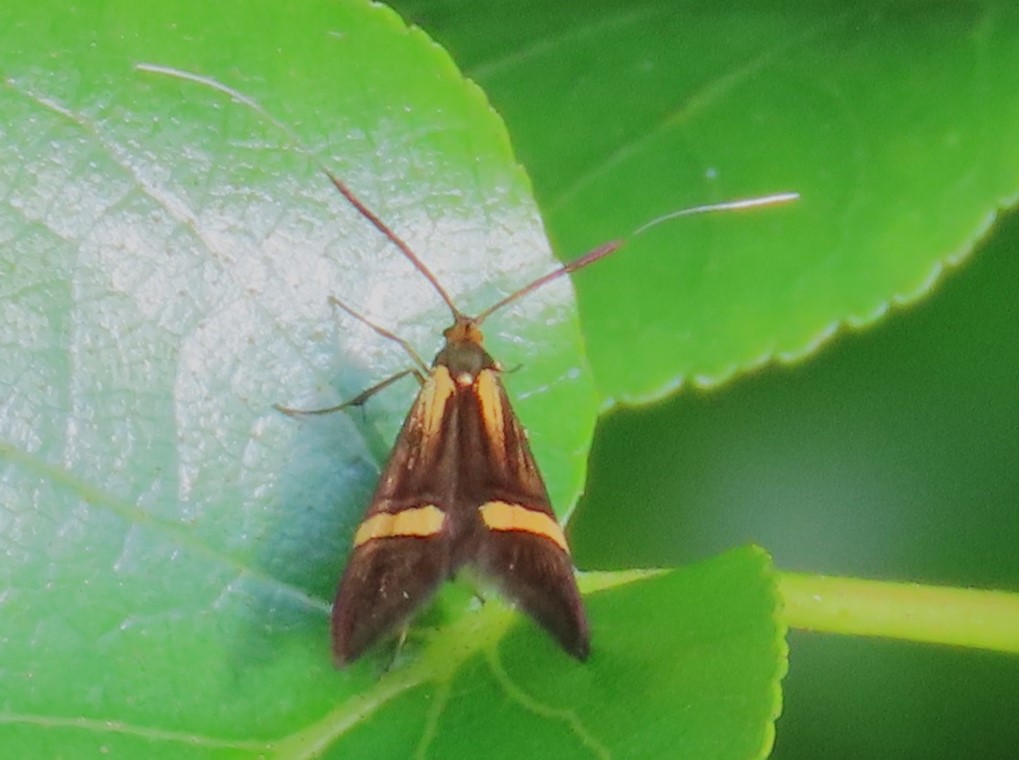 Pamela Pope tweet media