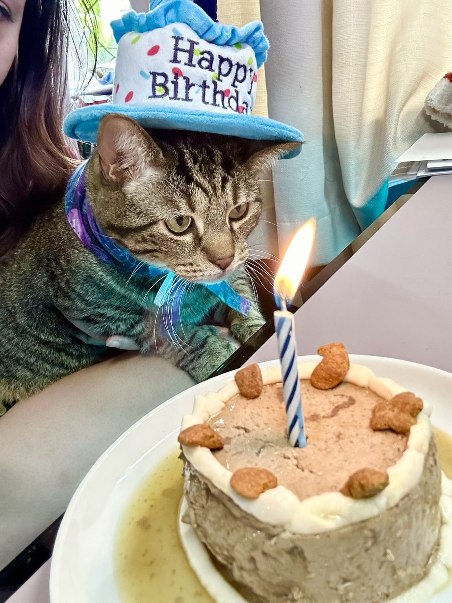 DrDoonMD tweet media