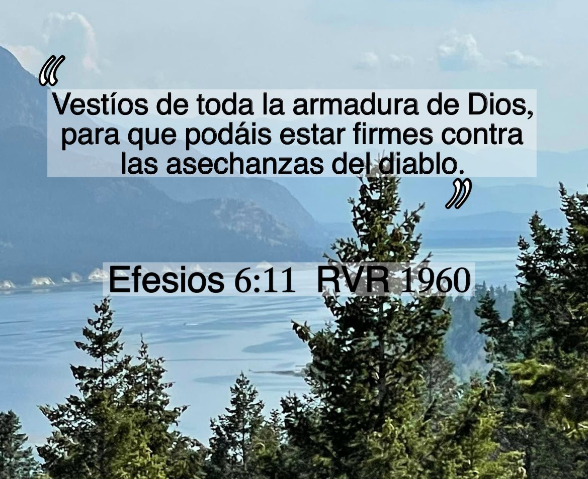 “Por lo demás, hermanos míos, fortaleceos en el Señor, y en el poder de su fuerza.” Efesios 6:10 RVR 1960