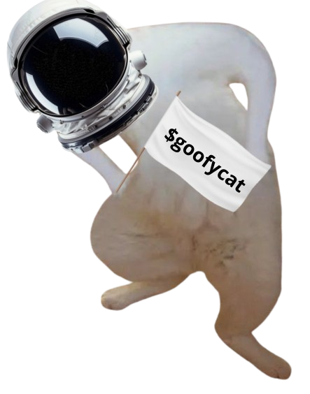 Goofy Cat tweet media