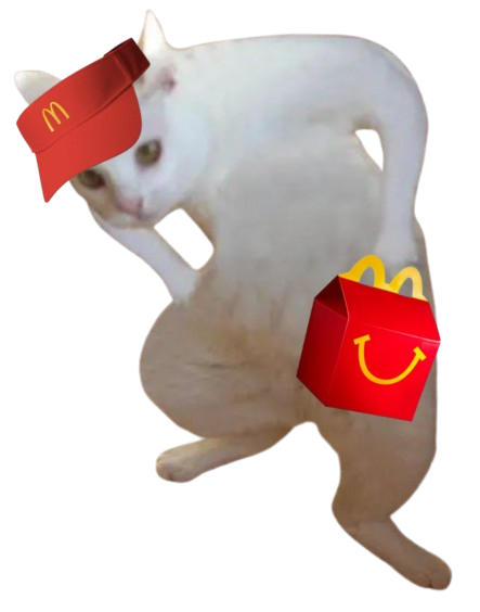 Goofy Cat tweet media