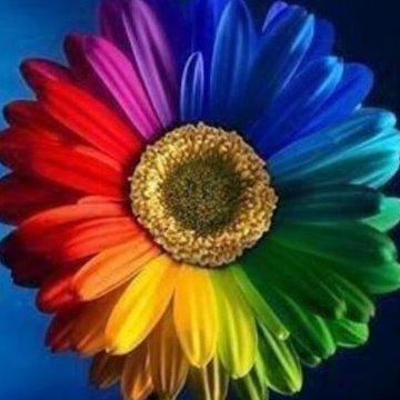 Cynsin69L's tweet image. Is everyone Ready For PRIDE...🖤💋❤️🌈💋💕💚💋🌈💋🧡💋💙💋💚💋💕💋🏳️‍⚧️💋