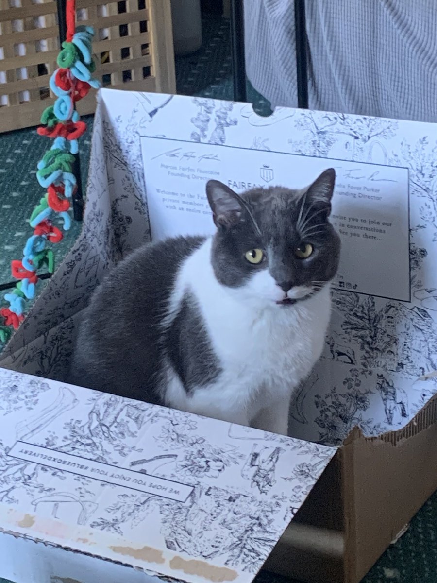 Mina Munns tweet media