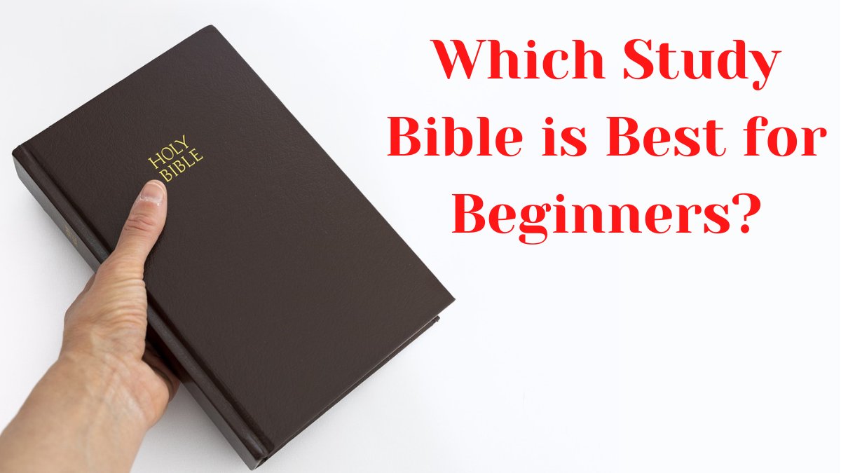 Best Study #Bibles for Beginners
bit.ly/3HhRBDi  
An Affiliate of Christianbook Distributors

#ReadTheBible📖 #SeekTheTruth🛐 #KnowJesus🛐 #ComeBackToGod🛐 #GetToKnowGod 📖 #GoodNews📖 #FindJoy😃 #FindHope🕊 #FindPeace☮️ #GreatGift🎁