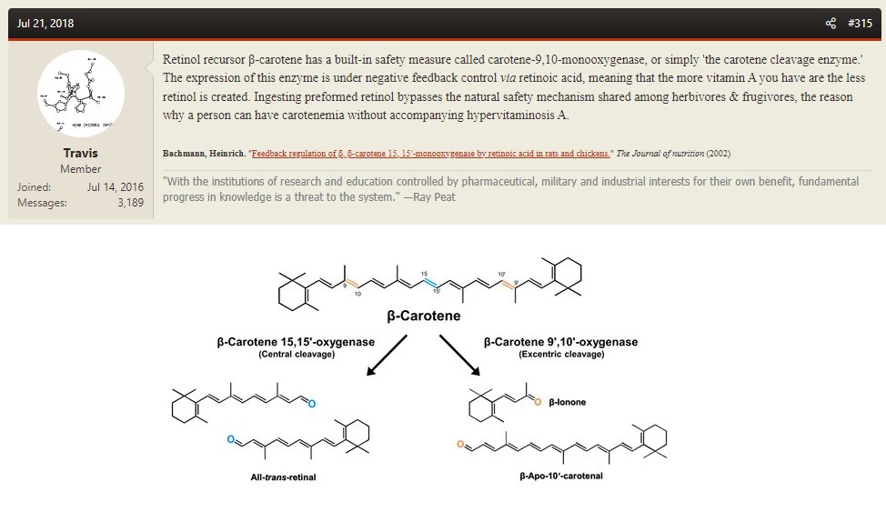 @AndyJScott BCMO1 (beta carotene monoxygenase 1, or beta carotene 15-15' oxygenase) produces the retinoids from beta-carotene  

Travis thought there's negative feedback where high levels of retinoic acid increase BCMO2 activity (beta carotene 9-10' oxygenase). These derivatives seem to stop