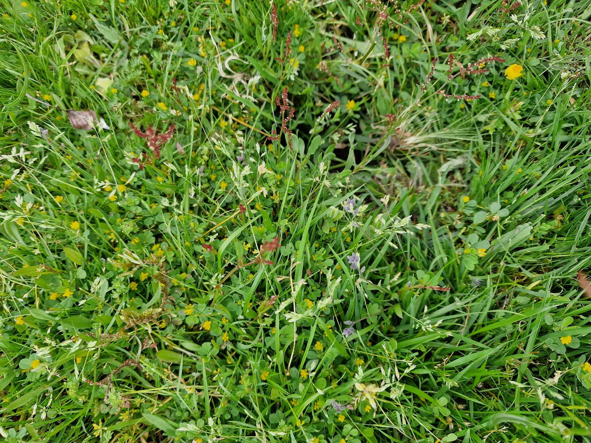 Wild about the Hills tweet media