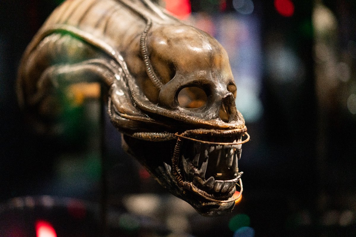 My all-time favorite film, 'ALIEN,' released 45 years ago, has profoundly influenced my life. It inspired my photography career. Here are some photos I snapped of one of the original Xenomorph heads at @academymuseum. A timeless masterpiece! #ALIEN @AlienAnthology