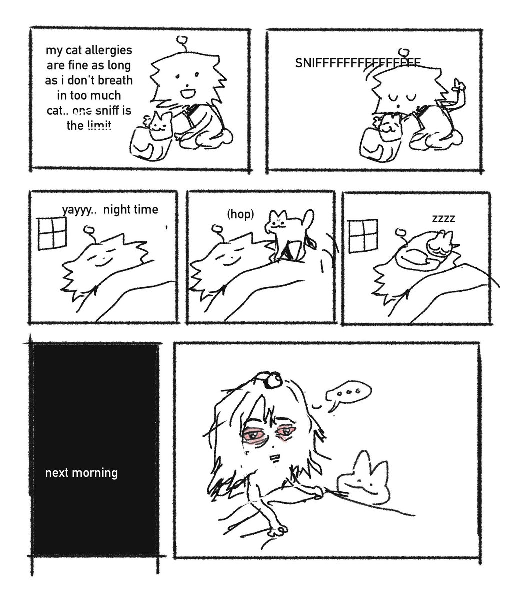 cat allergy 
