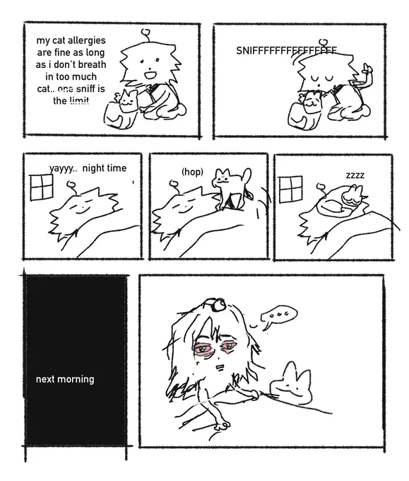 cat allergy 