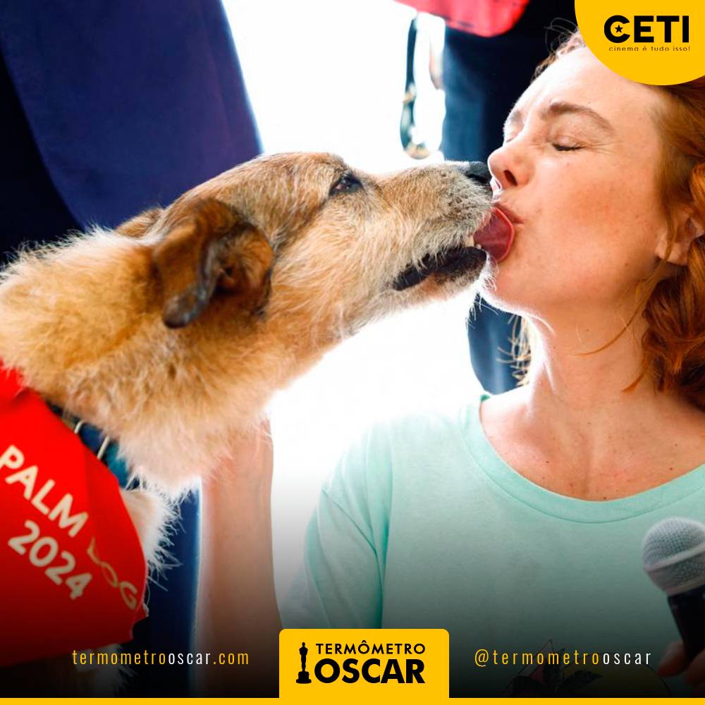 cinemaetudoisso's tweet image. Festival de Cannes 2024: "Dog on Trial" vence a Palm Dog com o cachorro Kodi!  #Kodi #DogonTrial #PalmDog