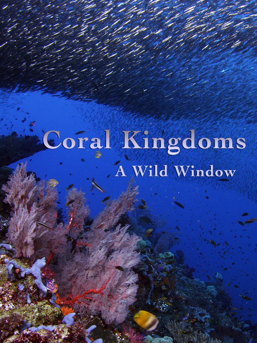Delight in Coral Kingdoms: buff.ly/4dQgV1Y #HowardHallProductions #ocean #scuba #scubadiving #underwater #oceanprotectionleague #climatechange