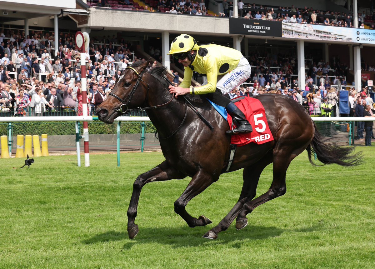 All speed 🚀 Inisherin was an impressive winner of the @Betfred Supports Jack Berry House Sandy Land Stakes 🏆🟡⚫️