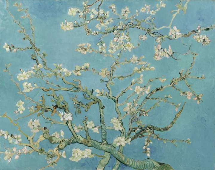 “Almond Blossoms”. Vincent van Gogh. 1890.