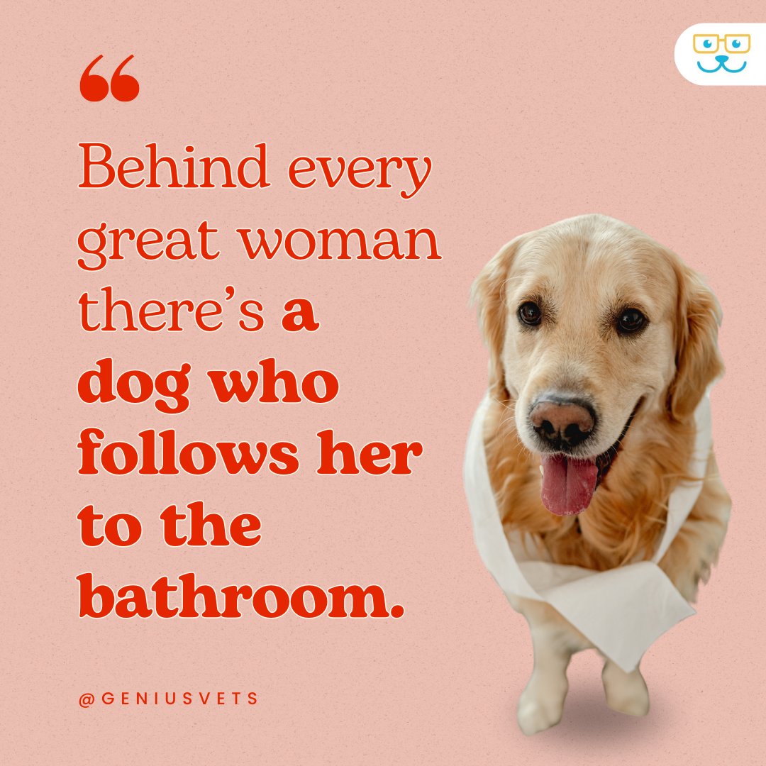 Gotta love how our pets show their love!🐶❤️ #vieravet #DogLove #DogFacts #DogFun