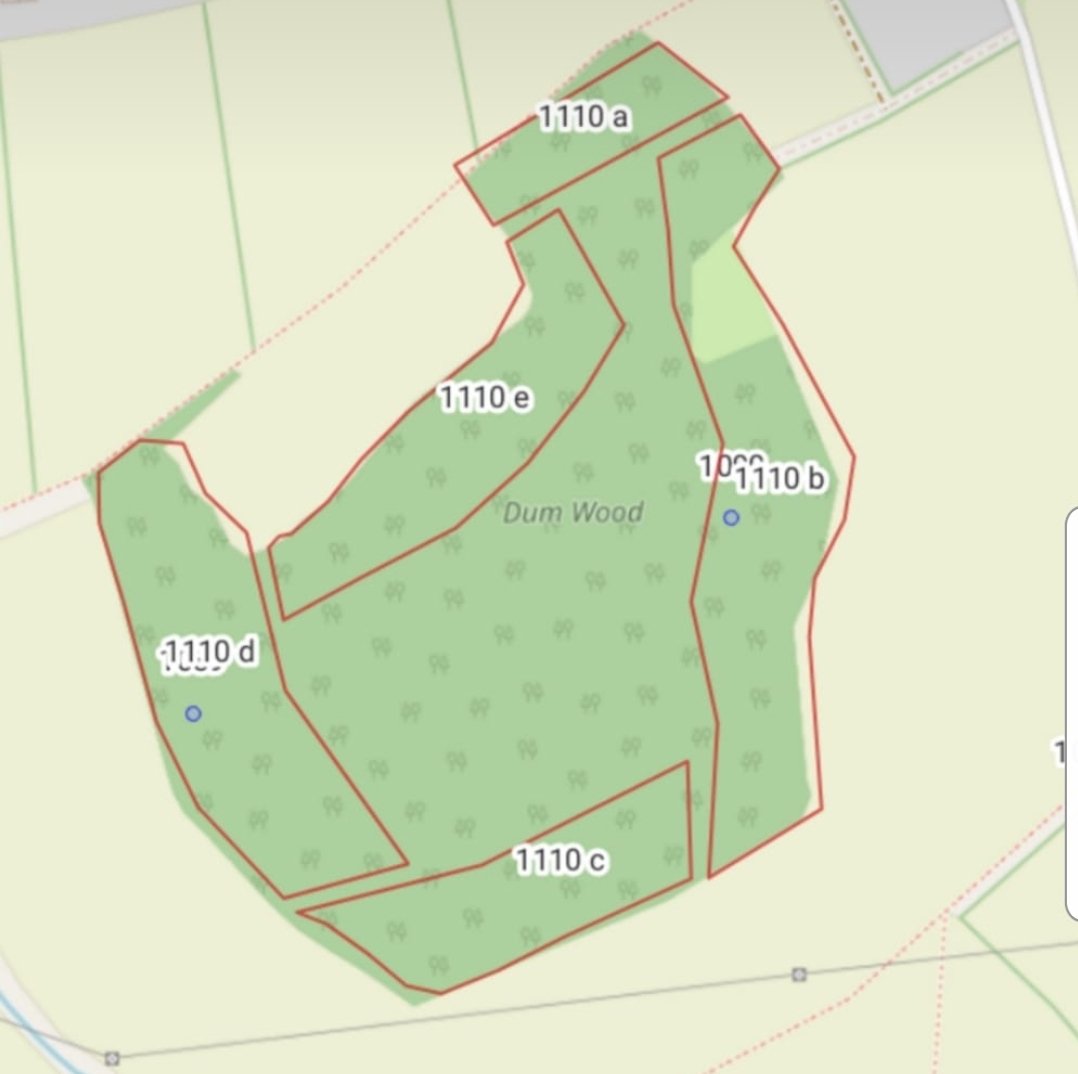 Chidswell Action Group 🍃💚🍃🦎🦇🦎🦇 tweet media