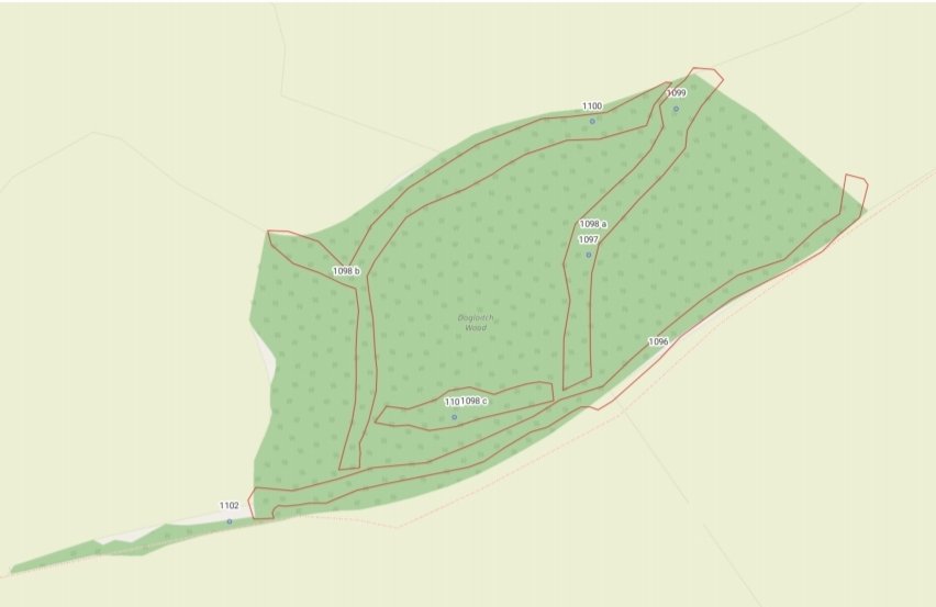 Chidswell Action Group ๐๐๐๐ฆ๐ฆ๐ฆ๐ฆ (@chidswellgroup) on Twitter photo CoE put in new App. to Kirklees Council to fell trees in 2 Ancient Woodlands with no reference to 'Chidswell' & 'Heybeck'. In the interest of public safety and nothing to do with ยฃmillions profit from larger development. Perhaps they thought we wouldn't notice? We did! <a href="/alextomo/">alex thomson</a> CoE put in new App. to Kirklees Council to fell trees in 2 Ancient Woodlands with no reference to 'Chidswell' & 'Heybeck'. In the interest of public safety and nothing to do with ยฃmillions profit from larger development. Perhaps they thought we wouldn't notice? We did! <a href="/alextomo/">alex thomson</a>
