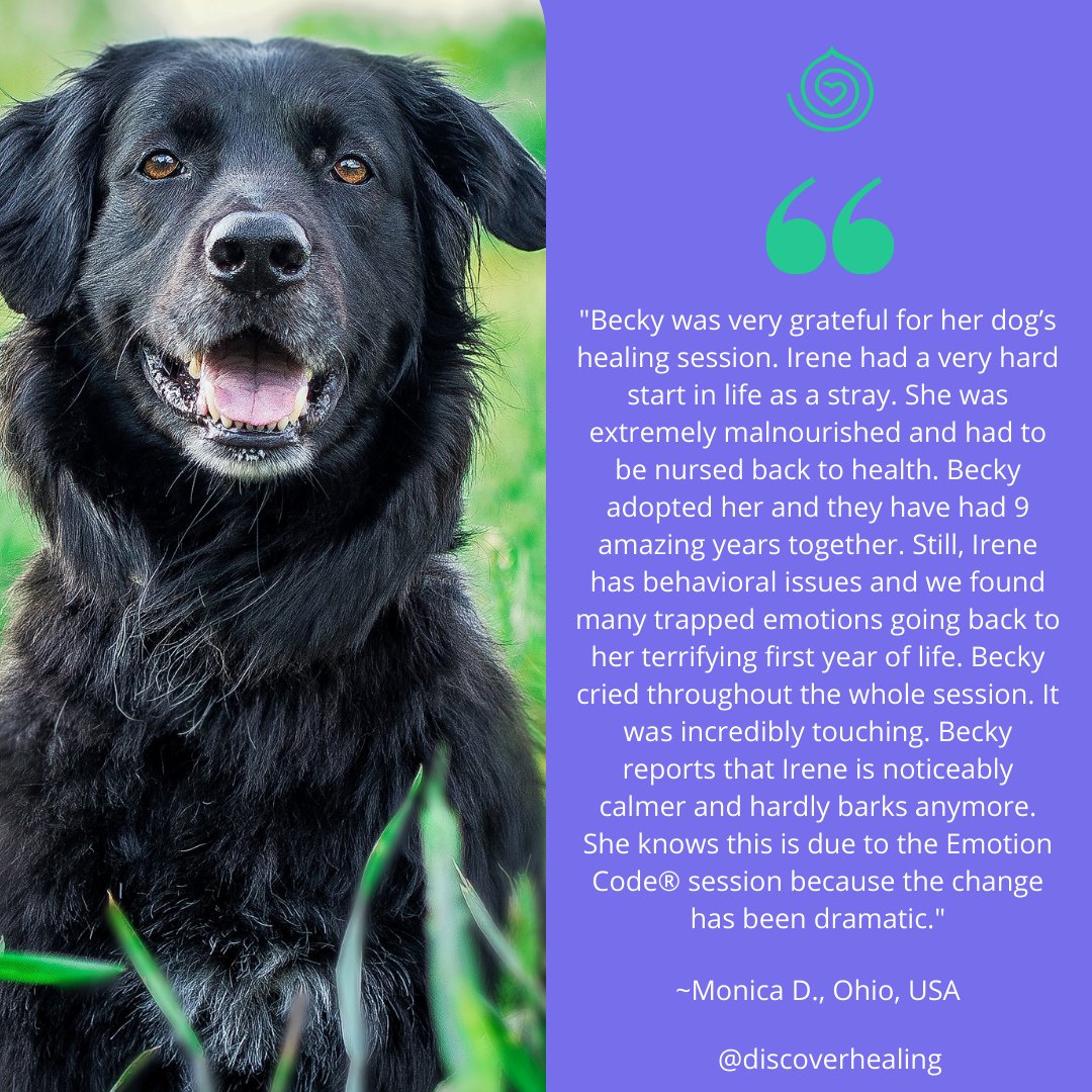 DiscHealing's tweet image. We love hearing about the positive changes animals can experience using The Emotion Code and all of our energy work modalities. Are you a Certified Practitioner who works with animals? Let us know in the comments which animals you&apos;ve done sessions for! 🐕 #DiscoverEmotionCode