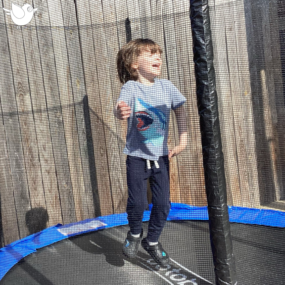 School days are always brighter when our kiddos are having a blast! #bluebirddayprogram #pediatrictherapy #therapyprogram #therapyclinic #classroom #class #classtime #preschool #kindergarten #learningthroughfun #learningthroughplay #therapeuticgym #therapygym #gamesforkids