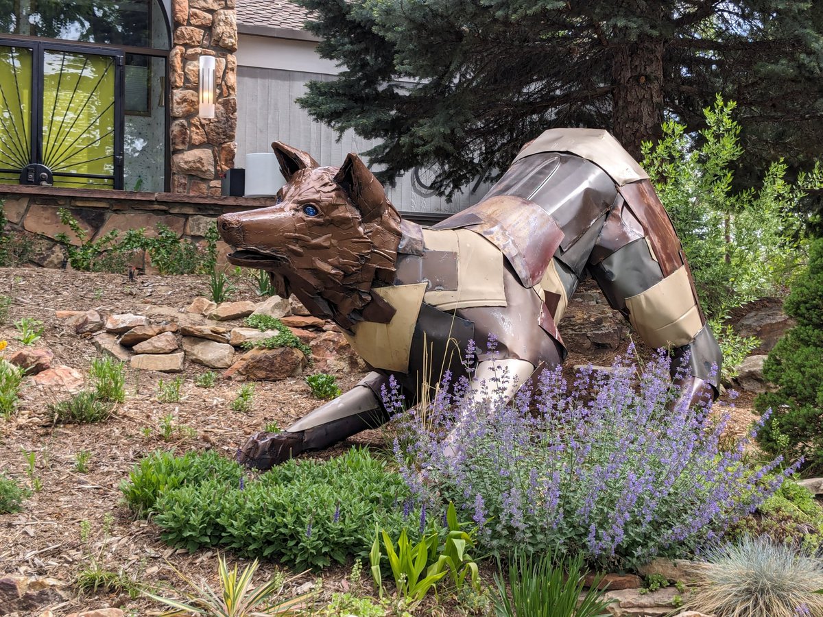 🏆 The award for best landscape architecture goes to this house 🏆

Goodest boy in the front yard protecting the home 🥰