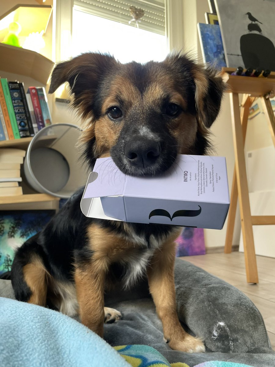 FloSimbaDog's tweet photo. @s_schoolbag @omrbeauty @OmarRudberg Real 🐾 https://t.co/juYdU7XYRi