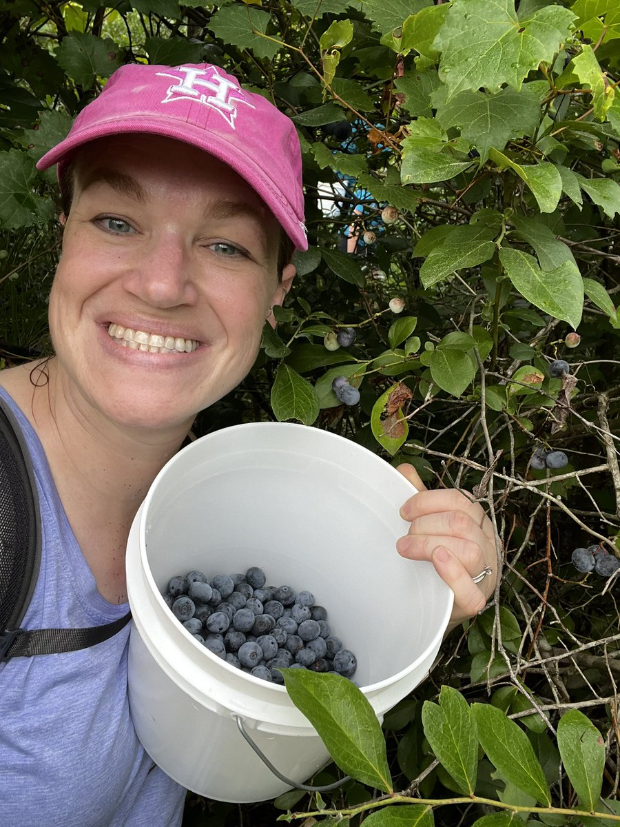 sandy_dandy's tweet photo. Yum! 🫐 #blueberries #getoutside #texasberries #eatlocal #MoorheadsBlueberryFarm #AnnualTradition https://t.co/beAl21NNV4