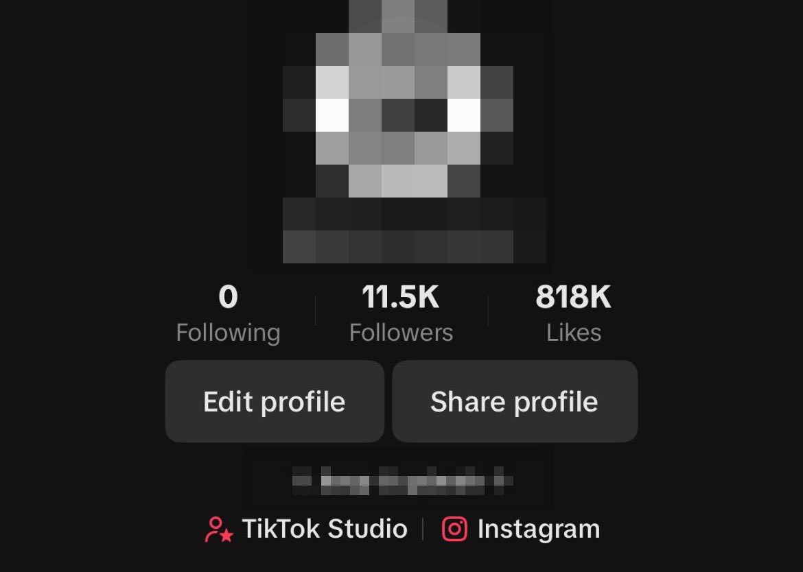 DatRarePepe's tweet image. Gave myself a goal to start a faceless TikTok account and achieved it in 2 months

Combined 2 hobbies into 1 and it seemed to work 😤