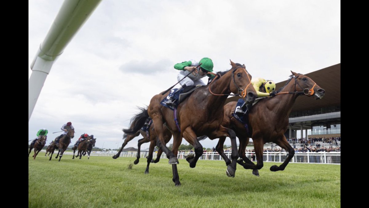 One stays….one doesn’t! Classic winning ROSALLION (Blue Point) is out Rosaline (New Approach) who is a half sister to Ayam Princess (Teofilo), the dam of Group 2 winner INISHERIN. More Group glory for the SHAMARDAL/GALILEO/DARSHAAN cross #pedigree <a href="/Tattersalls1766/">Tattersalls</a> <a href="/DarleyEurope/">Darley in Europe</a>
