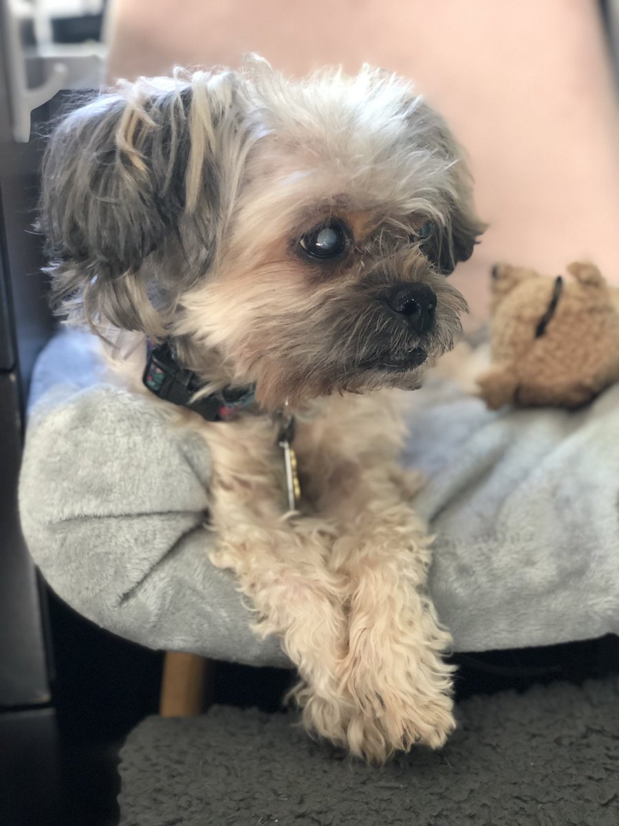 marlenemz's tweet photo. Mommy will love you forever♥️🥹 https://t.co/p1UTPjsp6v