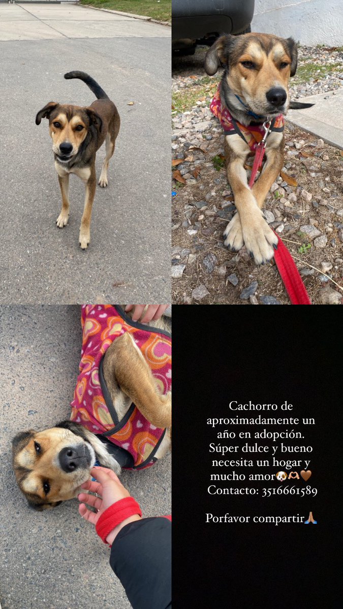 Compartir porfavor🙏🏽