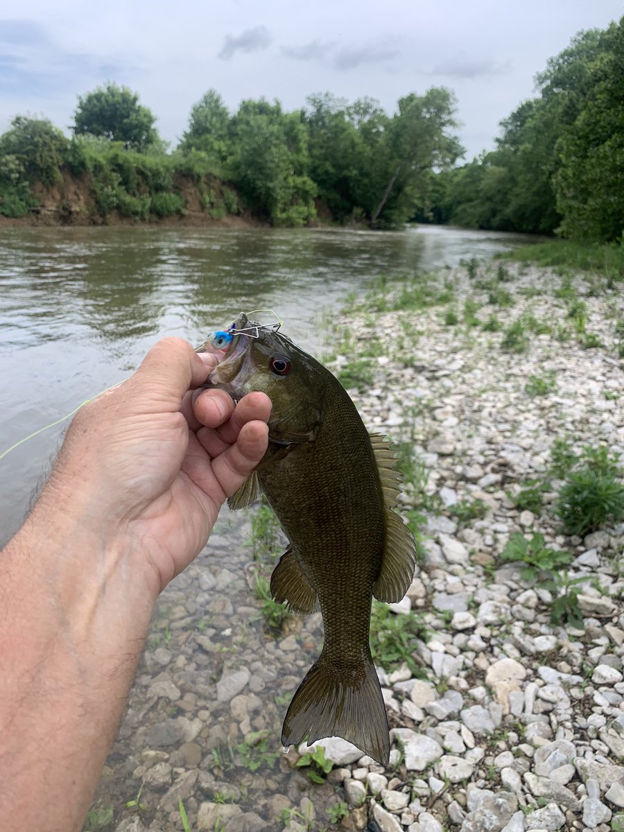 Just Dew It, caught about a dozen Small Mouth and Rock Bass