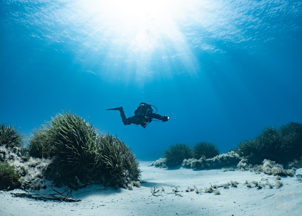 An underwater paradise awaits! 🌊🤿✨[ 📸 @theunderwaterpanda @katyastivala ] #VisitMalta #ExploreMore #MoreToExplore #travelhacks