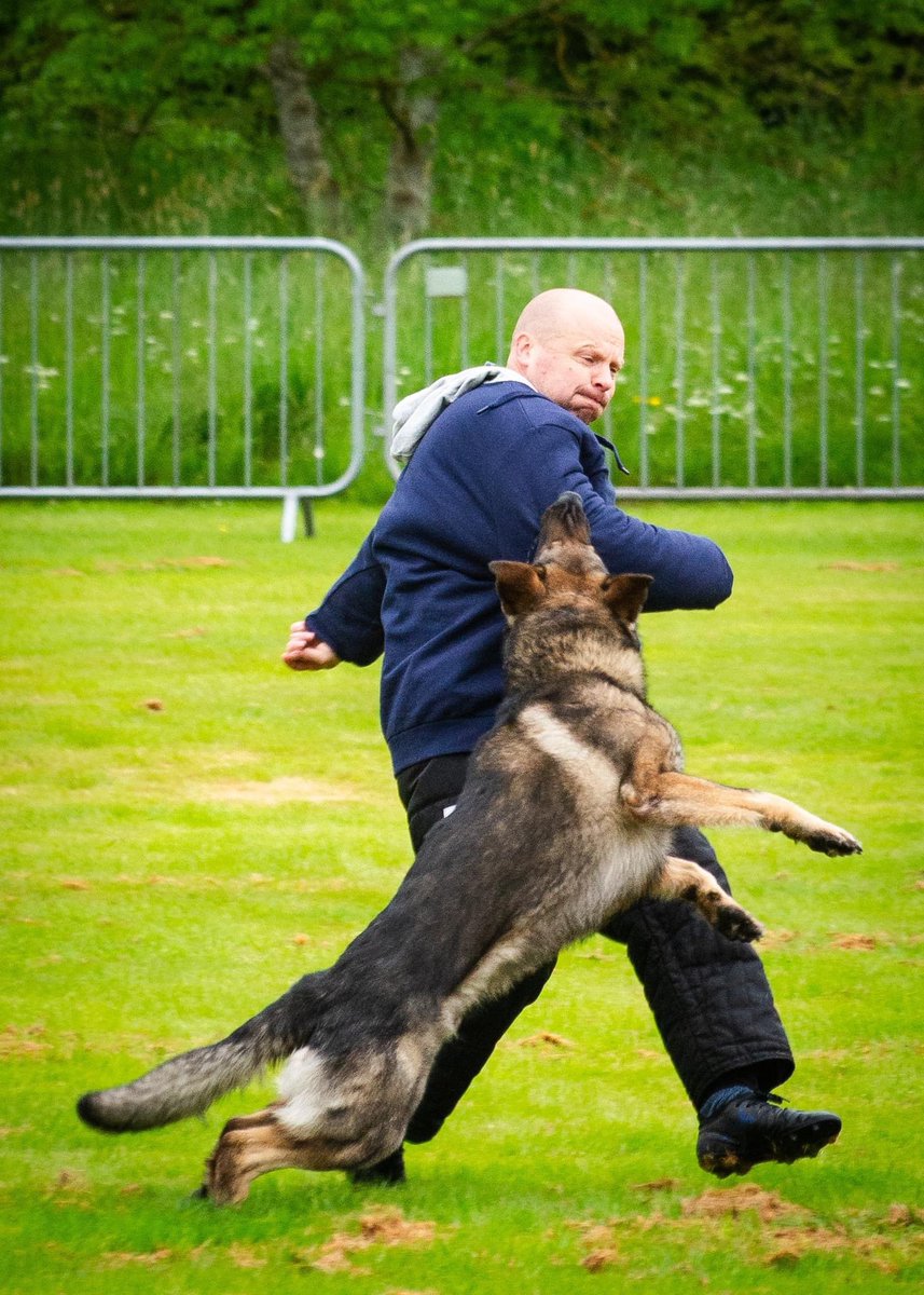 Another duo I managed to capture was PC Blunt and PD Bruce from @EPDogs