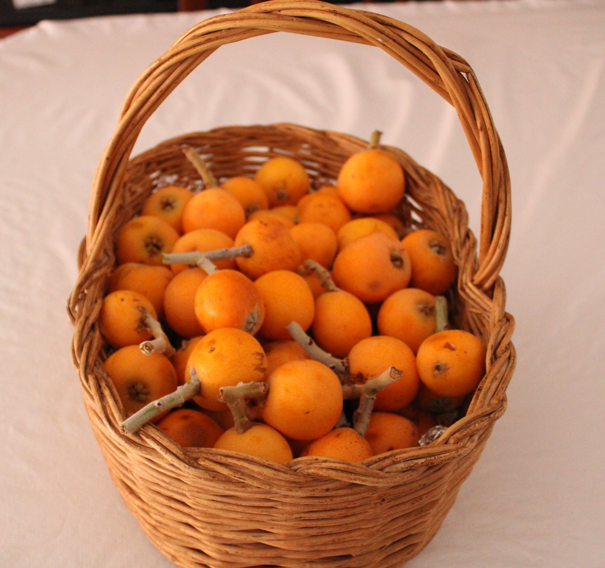 DelfinaMonfort's tweet photo. Del árbol a la boca #exquisiteces #arbolesfrutales🌳 #cerezas🍒 #albaricoques #nísperos  #frutadeltiempo #mayo2024 https://t.co/VUqf2ueovE