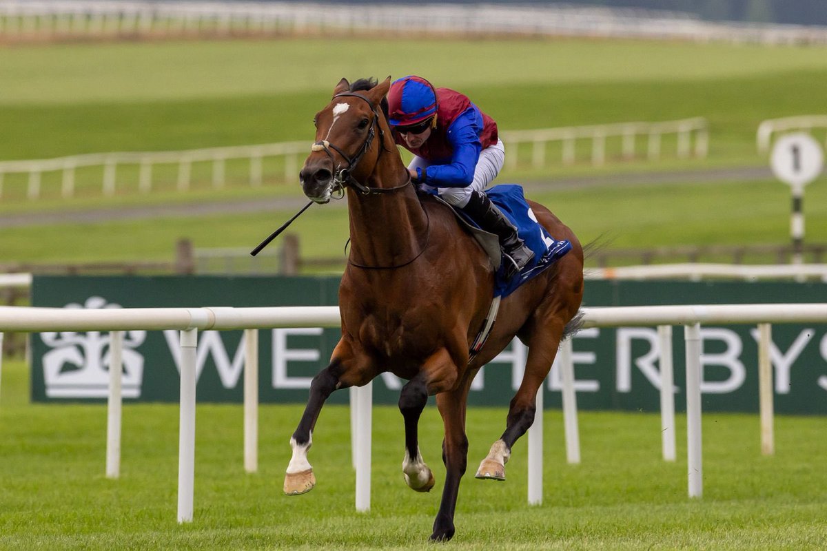 The Curragh Racecourse tweet media