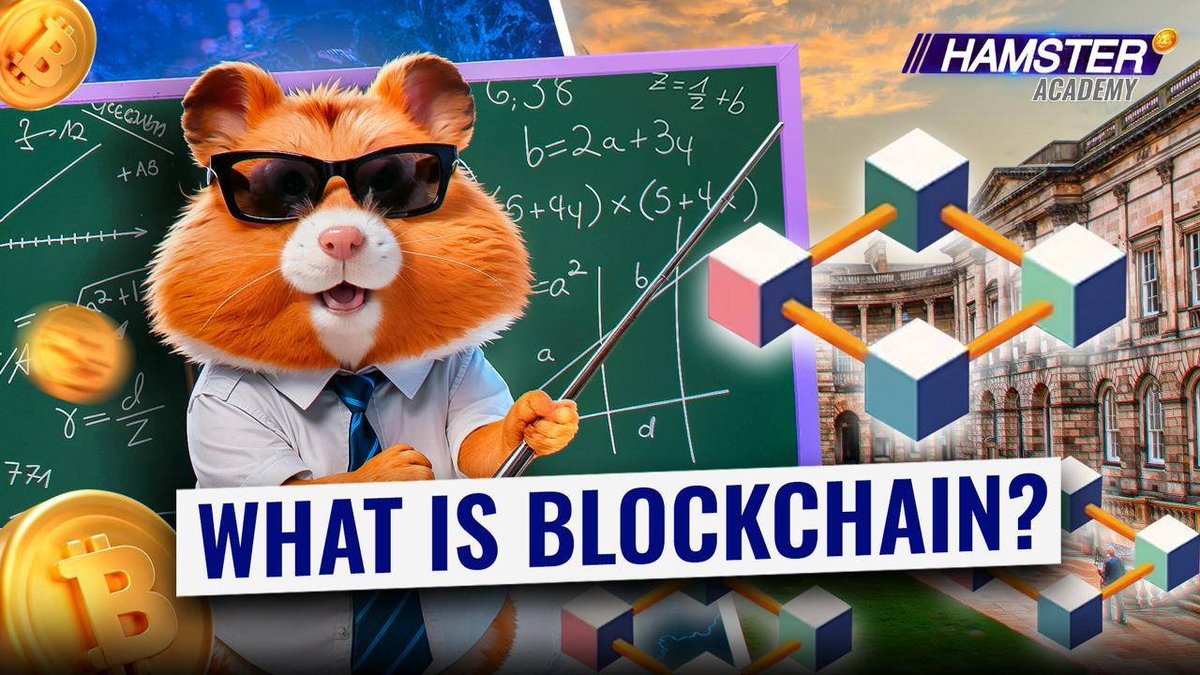 🎉  Dear CEOs,

Yesterday, we've launched the official Hamster YouTube  channel! 

💎 Today, the first educational video from Hamster Academy will be released, along with the evening cryptocurrency news.

🚨 We are calling for your help! We want to make the channel subs up to 1M
