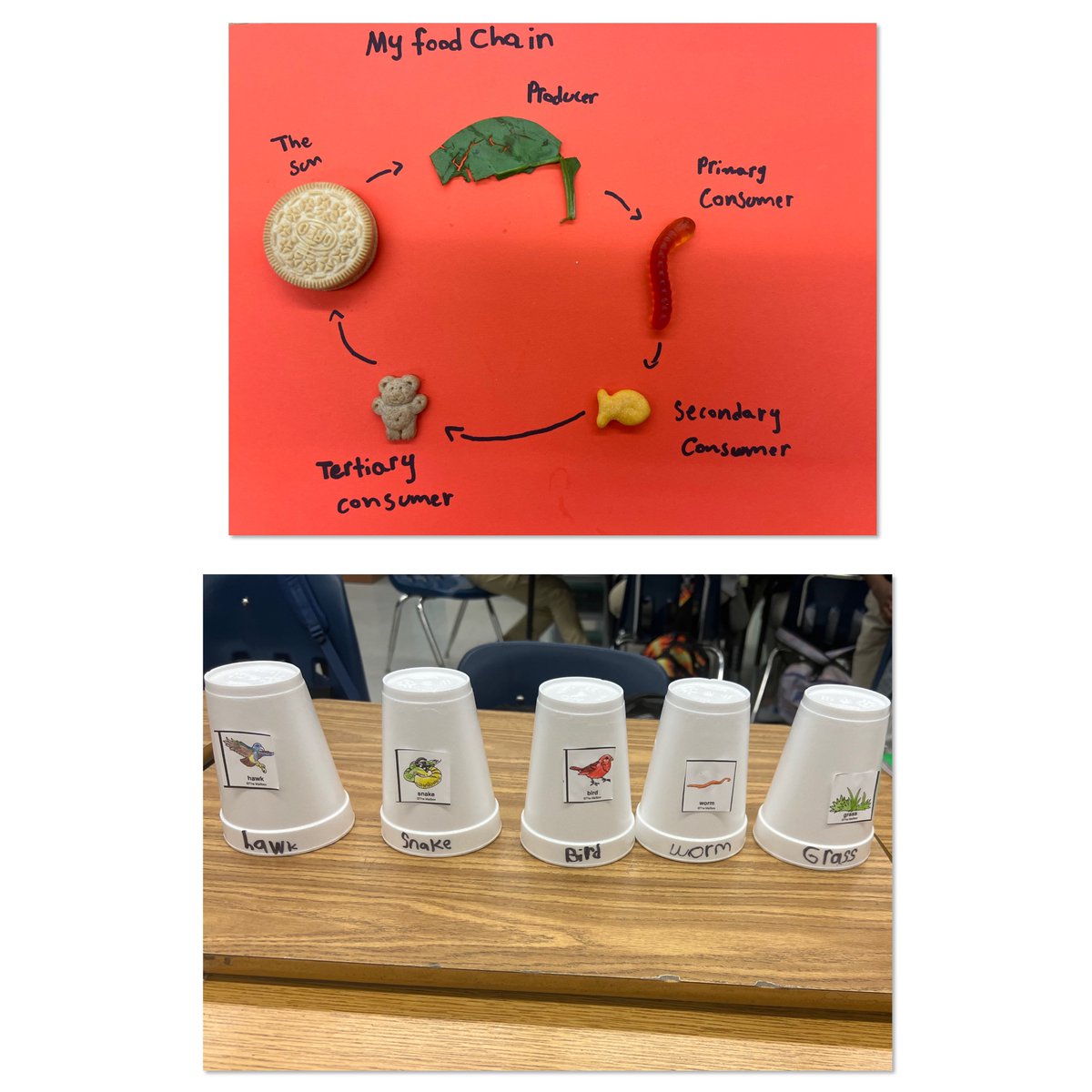 Miss M. Cunningham’s 5th Grade Class reviewed life, physical, and nature of science with hands-on experiments! #GettingReady 💪
<a href="/browardschools/">Broward Schools</a> <a href="/HowardHepburn/">Howard Hepburn</a> <a href="/NicoleNeunie/">Nicole Neunie</a> @BcpsCentral_ <a href="/DrDAugustin/">Ducarmel S. Augustin, PhD</a> <a href="/afulton8/">Dr. Angela Fulton</a> <a href="/BrowardScience/">Broward Science</a> <a href="/BrowardSTEM/">Broward STEM</a>