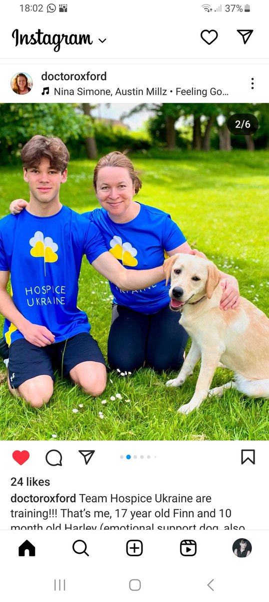 The @BlenheimTri is soon! Here are @HospiceUkraine's top athletes. Although I think 1. Harley will struggle with the bike leg 2. Four legs is an unfair advantage in the run 3. Doggy paddle may get him disqualified Please sponsor @doctor_oxford. She's more likely to finish. Info⬇️