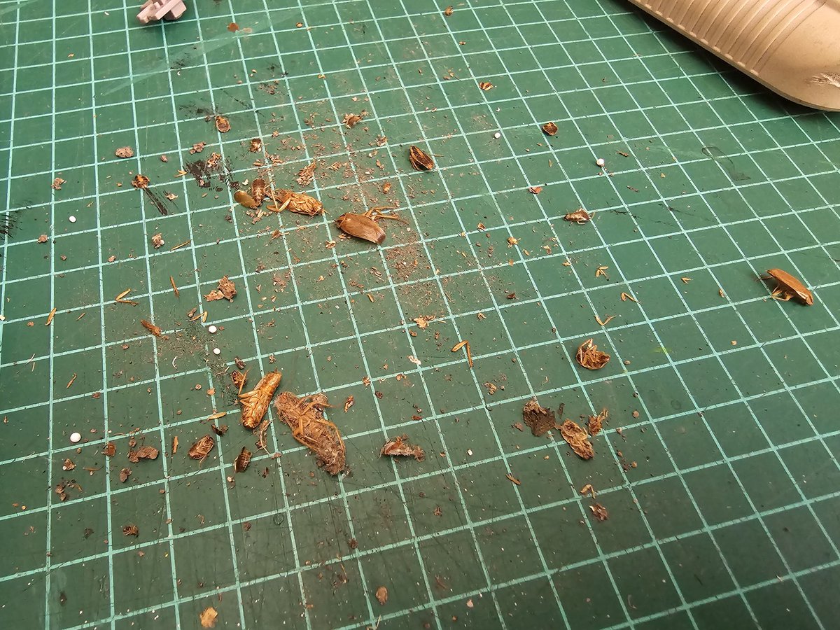 ElSoqo's tweet photo. 🤢 https://t.co/yHW99yisQe