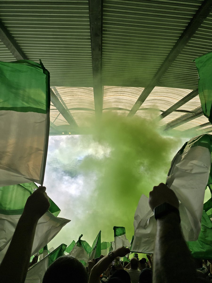 ehmceecor's tweet image. 