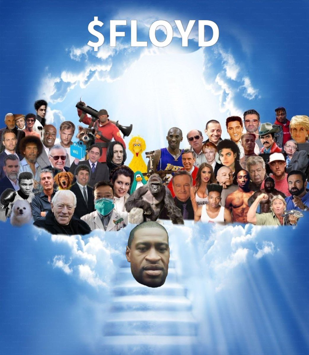 Floyd_on_sol's tweet photo. @blknoiz06 $floyd will be the ticker of the day https://t.co/9jXqL9hPYR