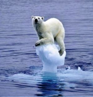 Did you know that between 2010 and 2012 Anne-Marie Trevelyan MP wrote a series of tweets denying global warming, including stating '[there is] clear evidence that the ice caps aren't melting after all' and 'global warming isn't actually happening'. #ClimateChange