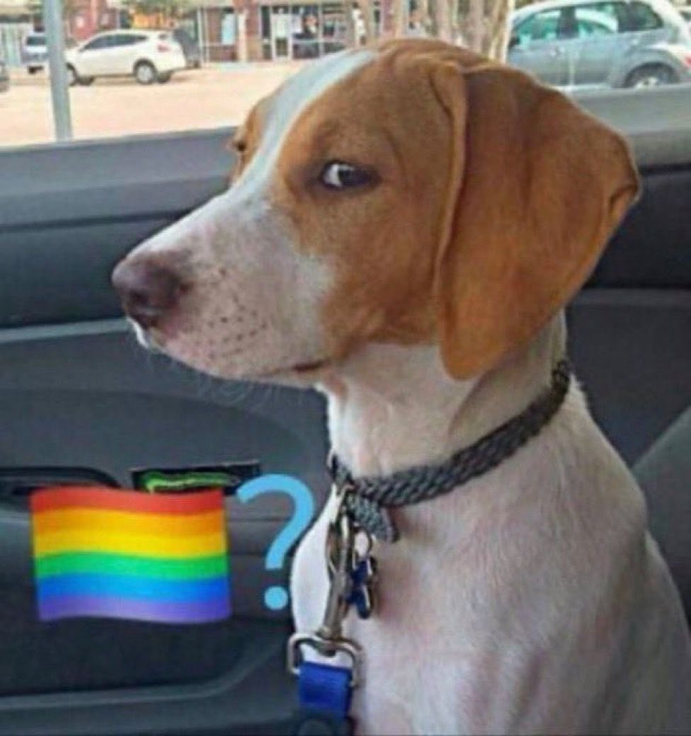 The women have to cover up but the MEN are allowed to be half naked? Saudi Arabia is GAY!!!! #WWEKINGANDQUEEN