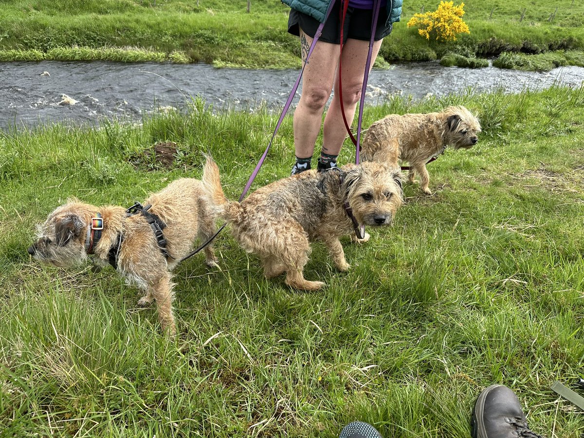 Melissavet64's tweet photo. Day 1 done of our River Ayr Way walk for @VetlifeUK Now for a hearty meal 🤣😍
Link for donations if anyone fancies giving up a coffee this week for us

https://t.co/EBuMSOFbfx https://t.co/Cbf5lC0jAa