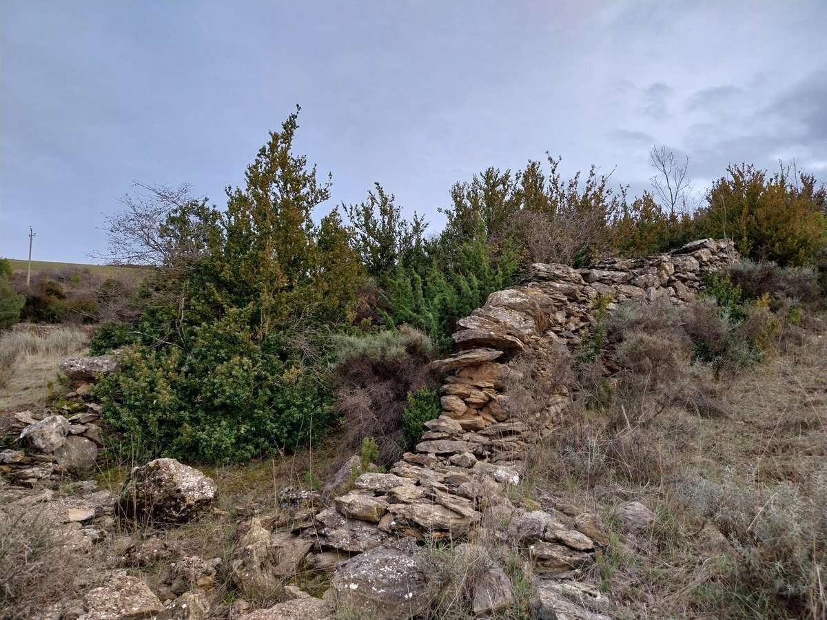 El camí d'Alàs a Ortedó (T.M d'Alàs i Cerc, Alt Urgell) és un camí de bast i que es conserva parcialment. Es tracta del camí veïnal que comunicava els 2 pobles abans de la construcció de la carretera (actuals C-462 i LV-4008).