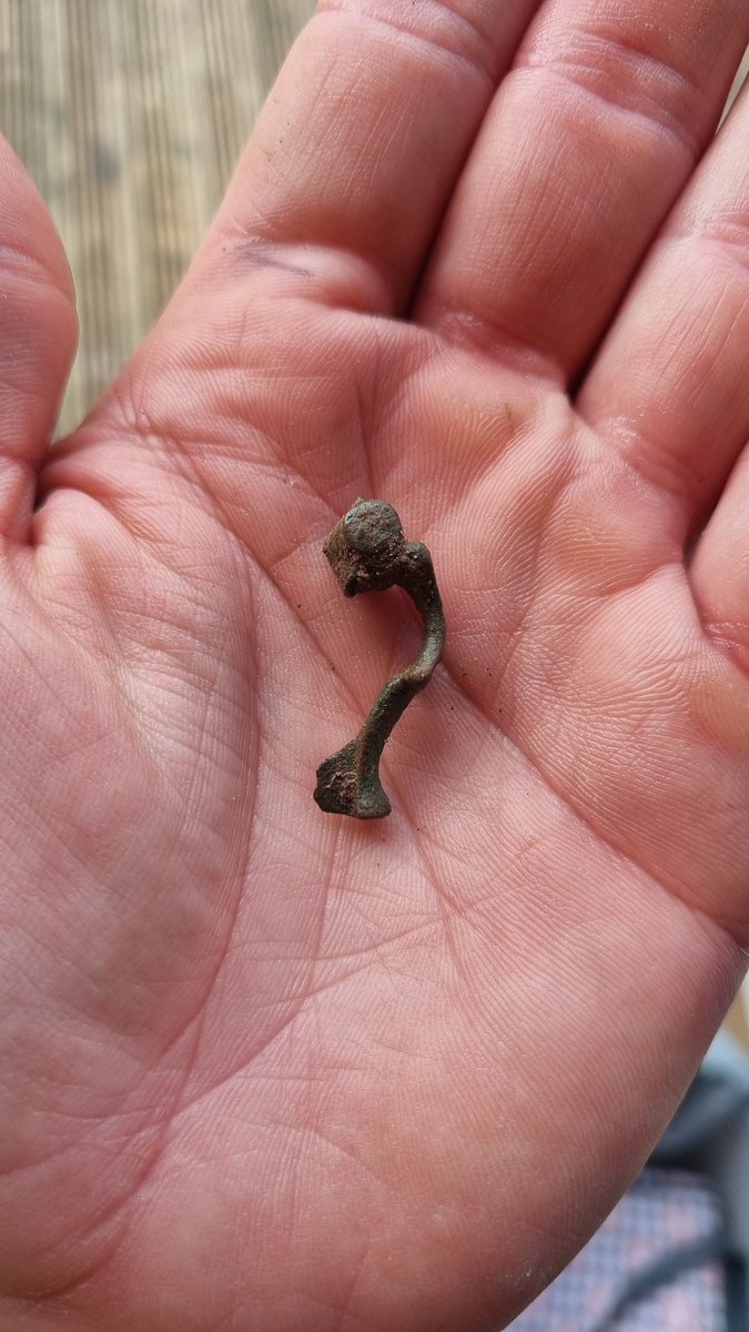 DetectorsDiary's tweet photo. Look at this tiny fibula I found today ! #metaldetecting #metaldetector #metaldetectinguk #metaldetectingfinds #xpdeus2 #xpmetaldetectors #metaldetect https://t.co/ojTdZO9Xxi